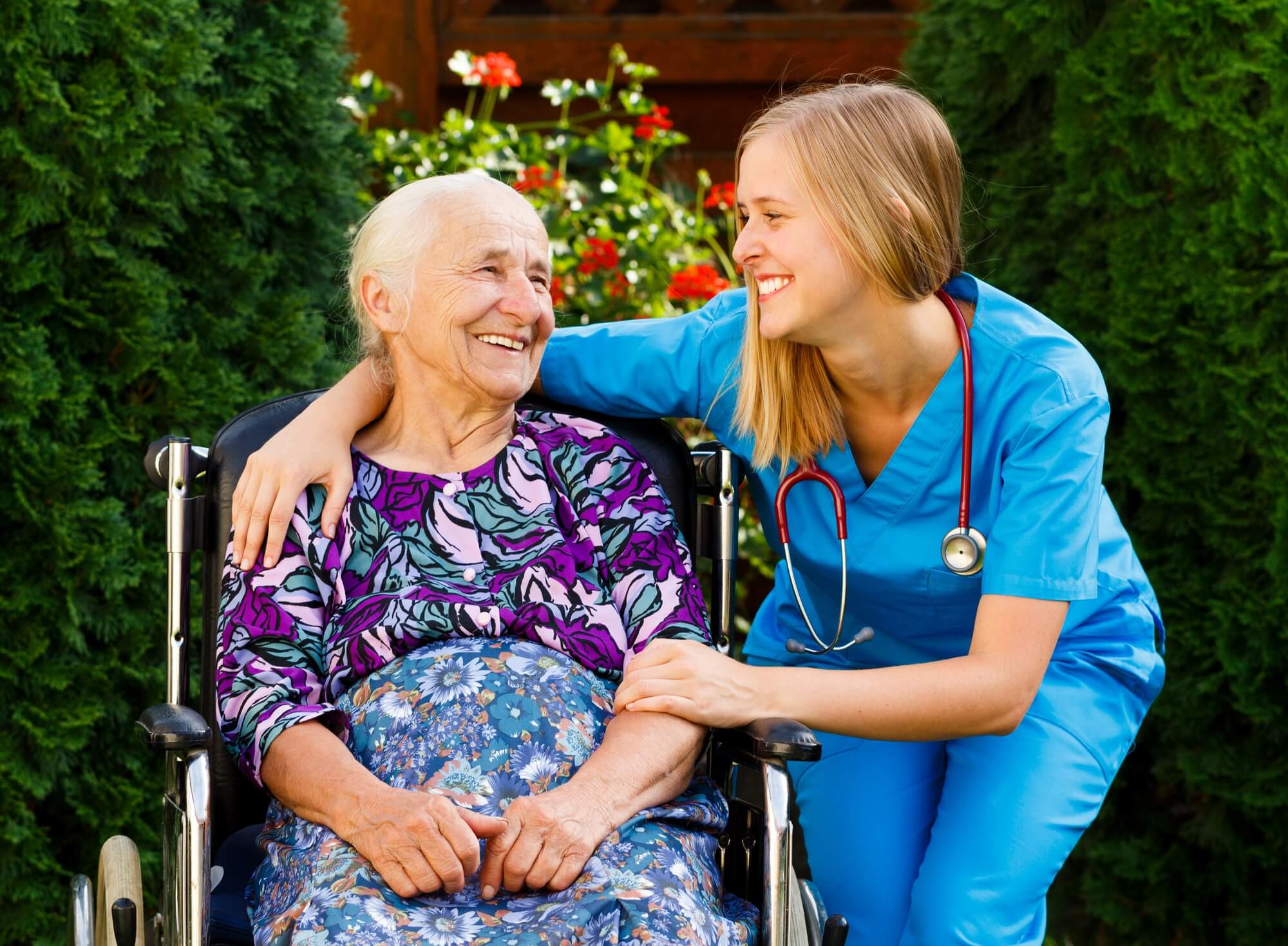 Companionship and Emotional Support