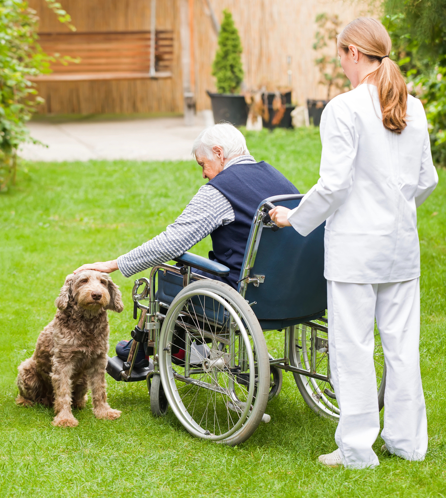 senior citizen petting dog